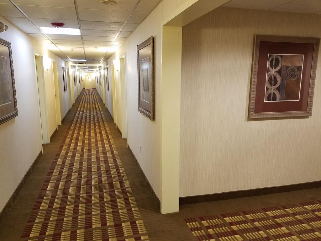 Days Inn By Wyndham Windsor Locks / Bradley Intl Airport Екстер'єр фото